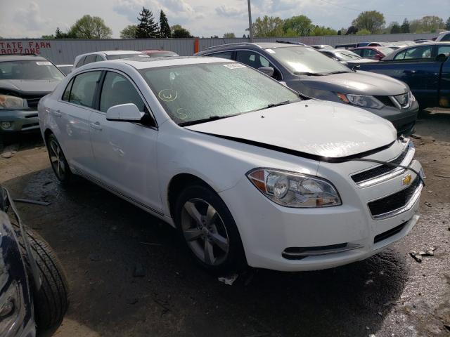 CHEVROLET NULL 2011 1g1zc5e11bf190896