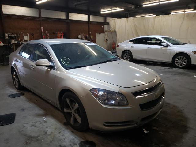 CHEVROLET MALIBU 2011 1g1zc5e11bf202772