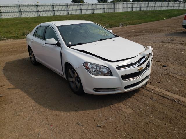 CHEVROLET MALIBU 1LT 2011 1g1zc5e11bf209513