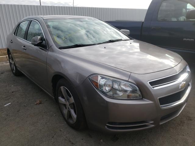 CHEVROLET MALIBU 1LT 2011 1g1zc5e11bf212959