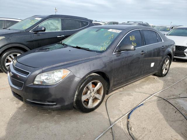 CHEVROLET MALIBU 1LT 2011 1g1zc5e11bf213481