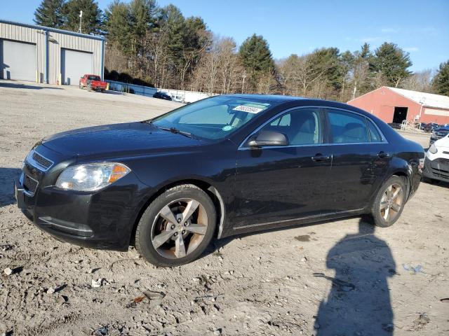 CHEVROLET MALIBU 2011 1g1zc5e11bf214209