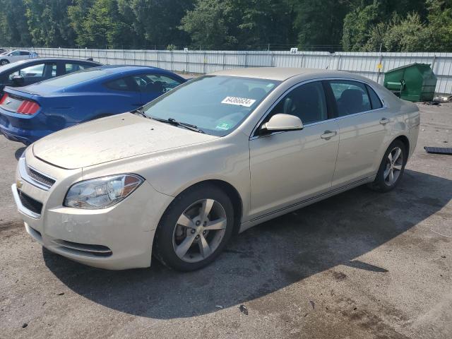 CHEVROLET MALIBU 1LT 2011 1g1zc5e11bf231009