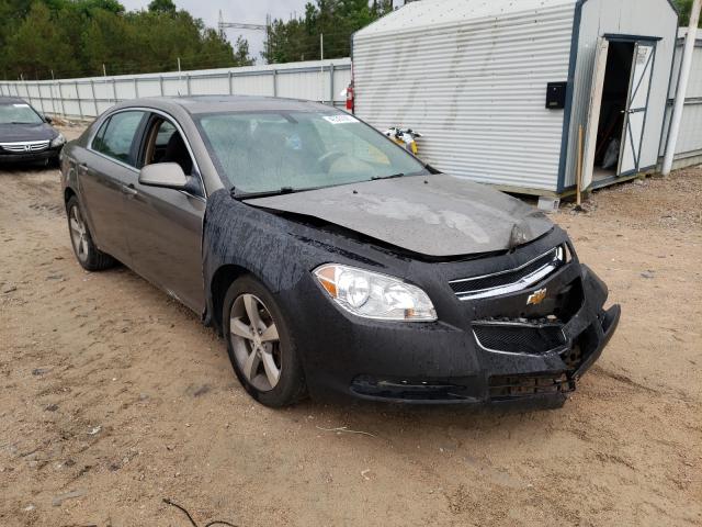 CHEVROLET MALIBU 1LT 2011 1g1zc5e11bf242348