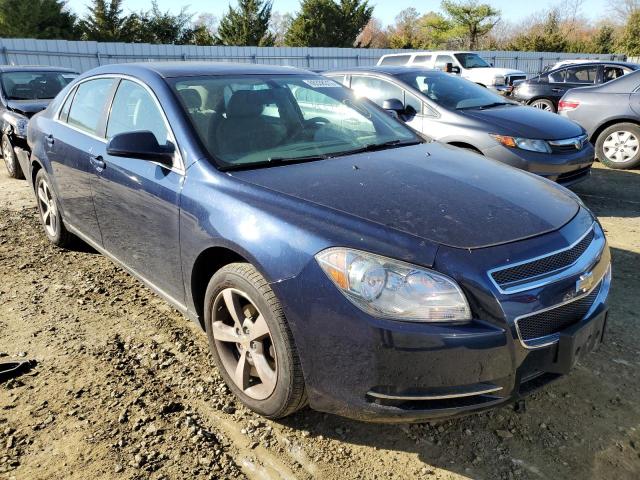 CHEVROLET MALIBU 1LT 2011 1g1zc5e11bf242558