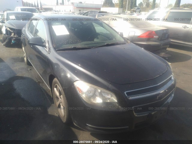 CHEVROLET MALIBU 2011 1g1zc5e11bf246321