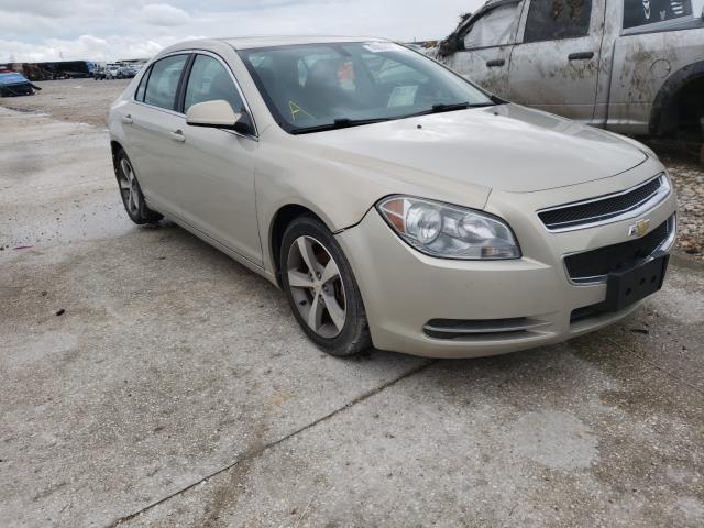 CHEVROLET MALIBU 1LT 2011 1g1zc5e11bf257593