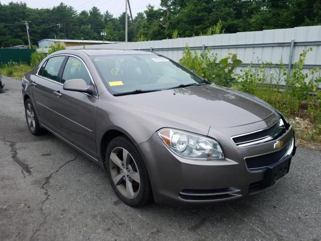 CHEVROLET MALIBU 1LT 2011 1g1zc5e11bf260008