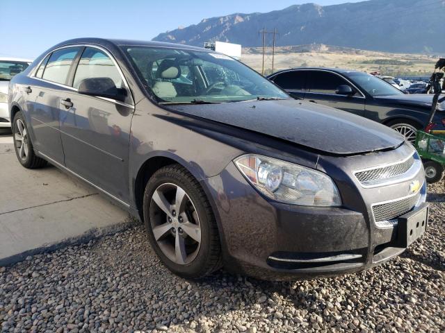 CHEVROLET MALIBU 1LT 2011 1g1zc5e11bf273194