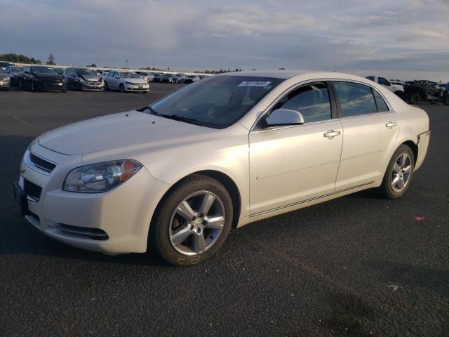 CHEVROLET MALIBU 2011 1g1zc5e11bf274829