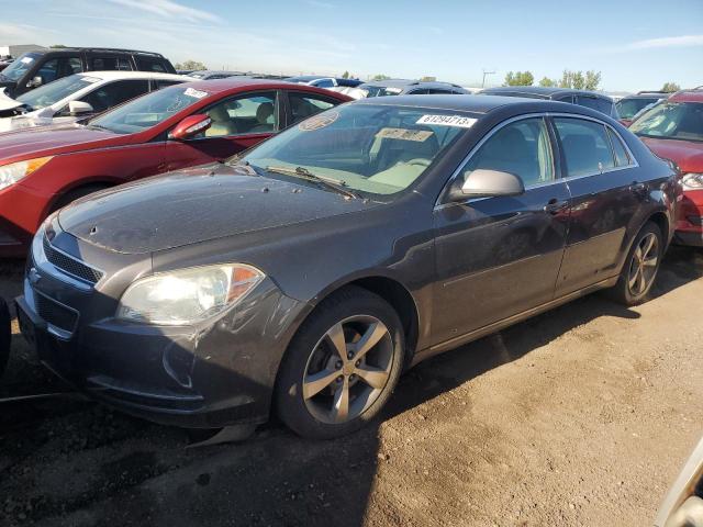 CHEVROLET MALIBU 1LT 2011 1g1zc5e11bf275446