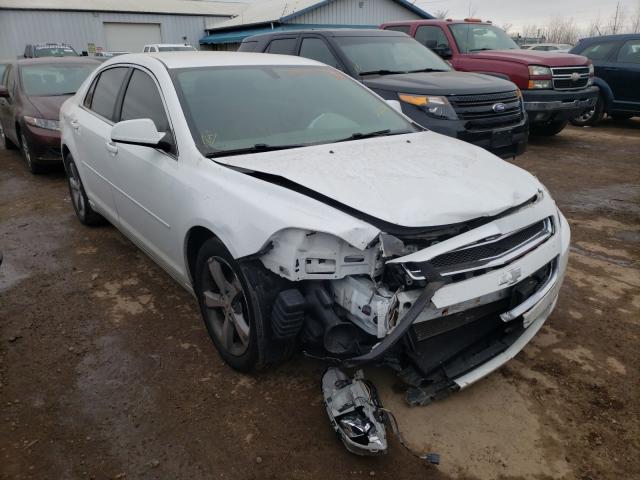 CHEVROLET MALIBU 1LT 2011 1g1zc5e11bf312754