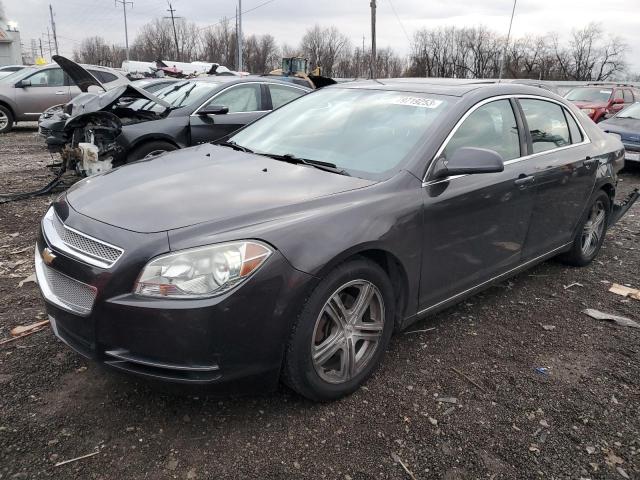 CHEVROLET MALIBU 2011 1g1zc5e11bf315301