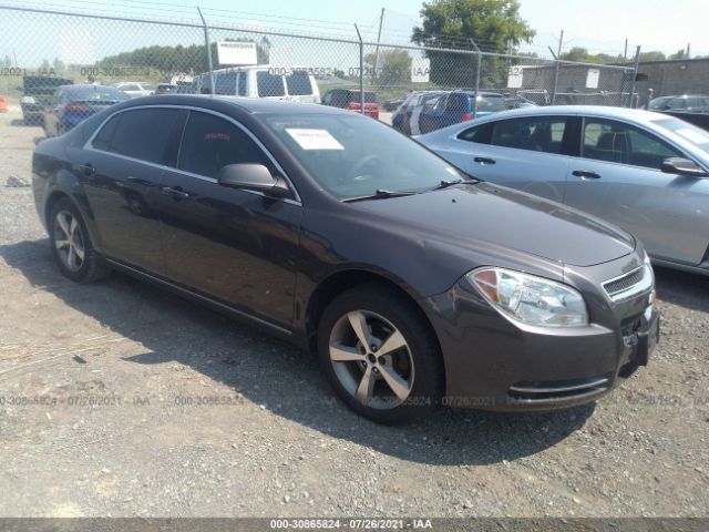 CHEVROLET MALIBU 2011 1g1zc5e11bf316528