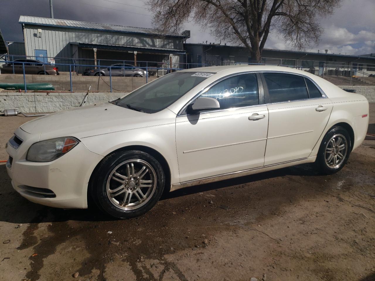 CHEVROLET MALIBU 2011 1g1zc5e11bf326945