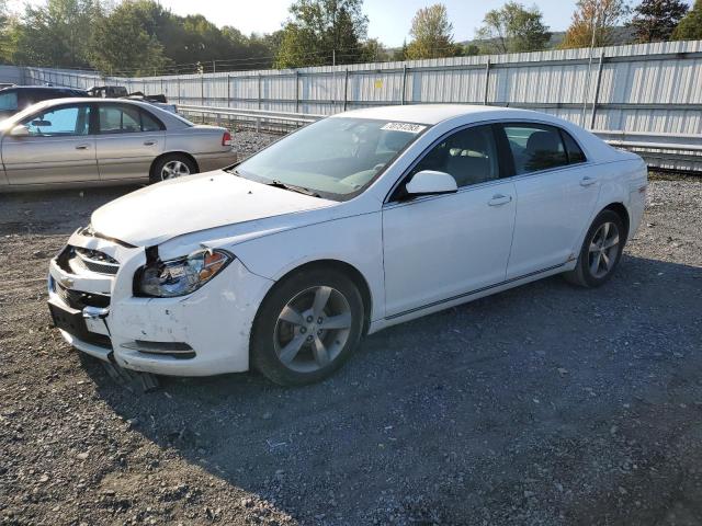 CHEVROLET MALIBU 2011 1g1zc5e11bf330154