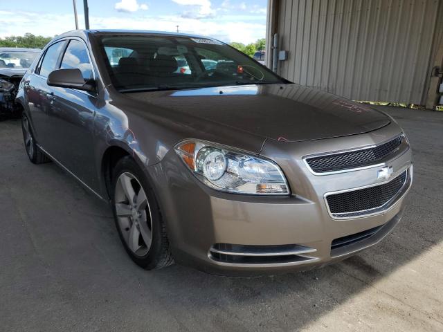 CHEVROLET MALIBU 1LT 2011 1g1zc5e11bf335998