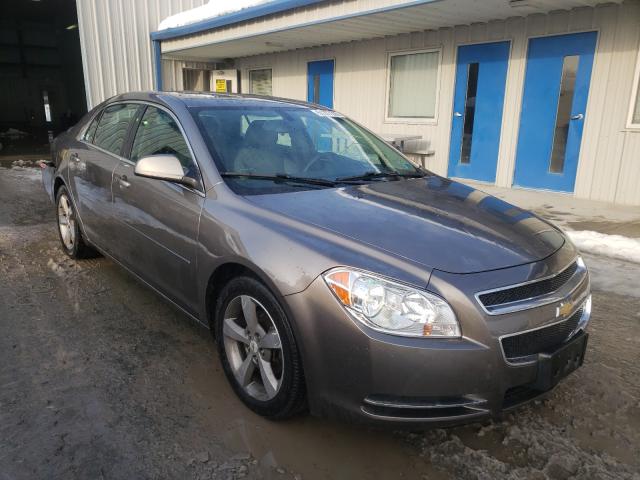 CHEVROLET MALIBU 1LT 2011 1g1zc5e11bf337346