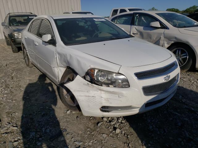 CHEVROLET MALIBU 1LT 2011 1g1zc5e11bf350212