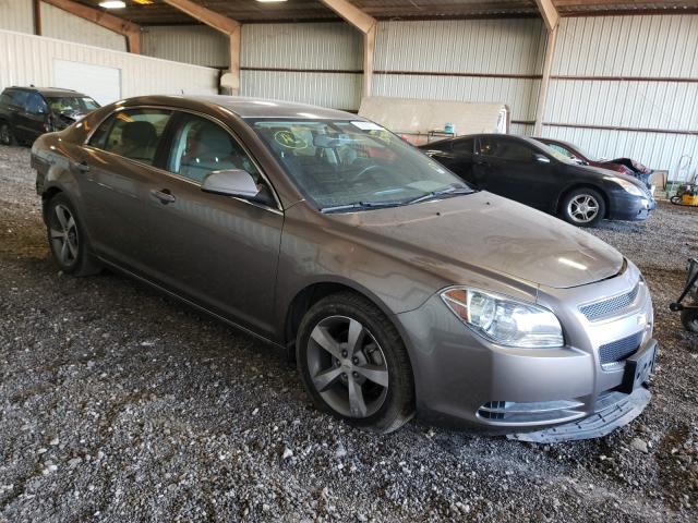 CHEVROLET MALIBU 2011 1g1zc5e11bf350484