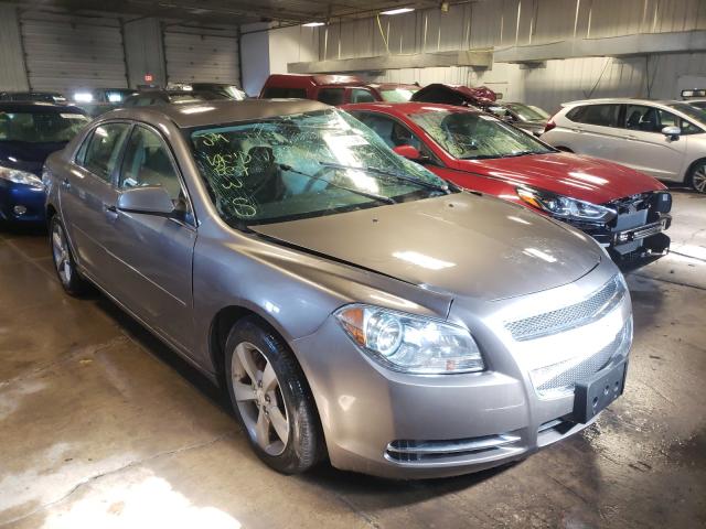 CHEVROLET MALIBU 1LT 2011 1g1zc5e11bf353045