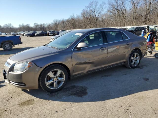 CHEVROLET MALIBU 2011 1g1zc5e11bf363025