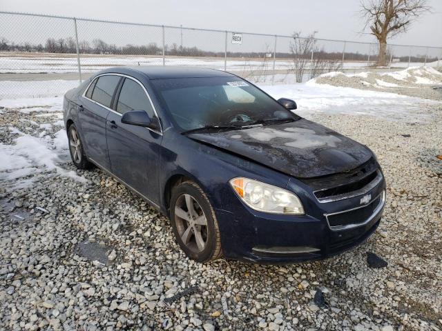 CHEVROLET MALIBU 1LT 2011 1g1zc5e11bf396171