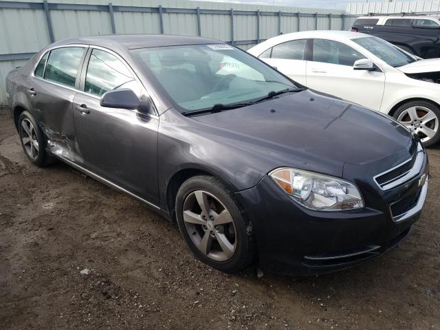 CHEVROLET MALIBU 1LT 2011 1g1zc5e12bf129458