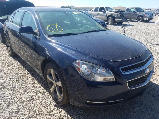 CHEVROLET MALIBU 1LT 2011 1g1zc5e12bf136538