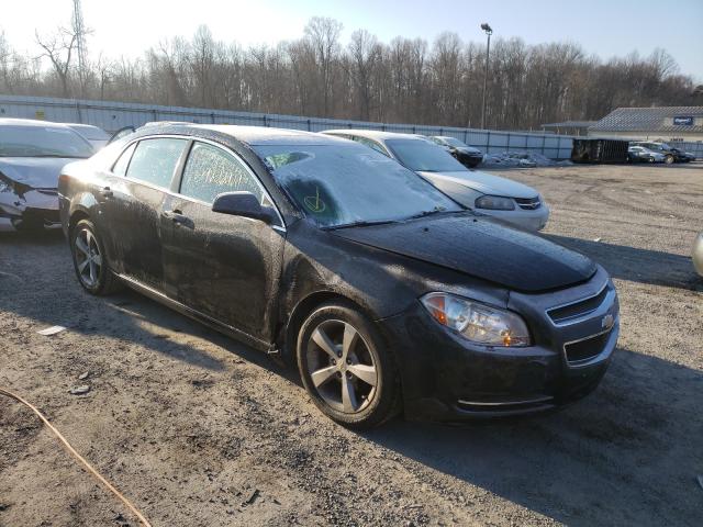 CHEVROLET MALIBU 1LT 2011 1g1zc5e12bf139018