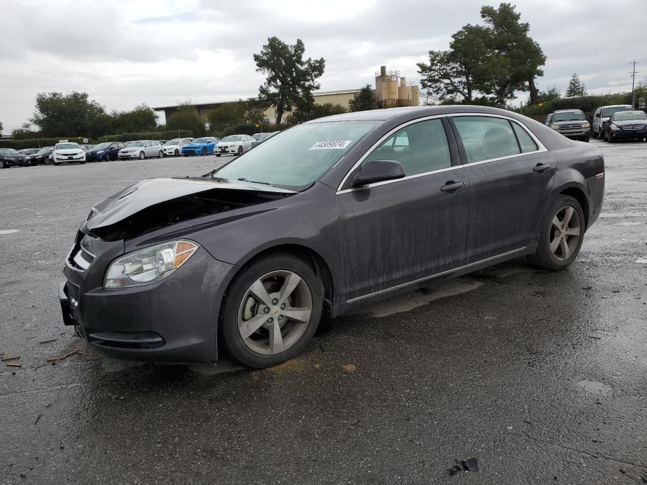 CHEVROLET MALIBU 2011 1g1zc5e12bf163545