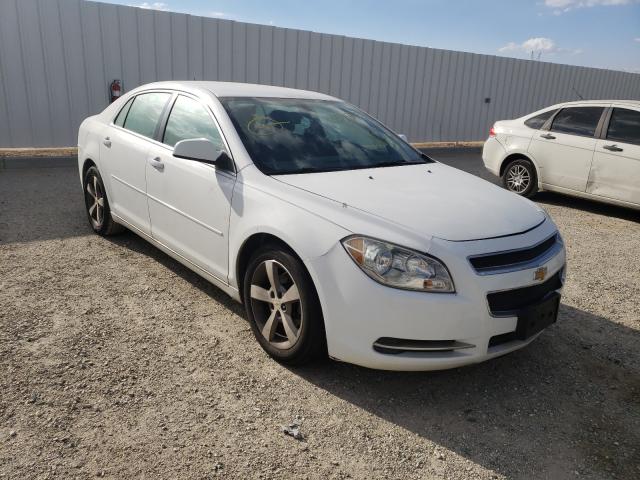 CHEVROLET MALIBU 1LT 2011 1g1zc5e12bf251771