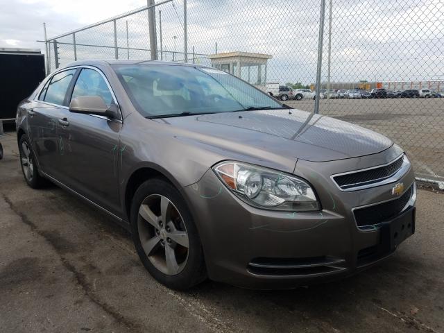 CHEVROLET MALIBU 1LT 2011 1g1zc5e12bf317834