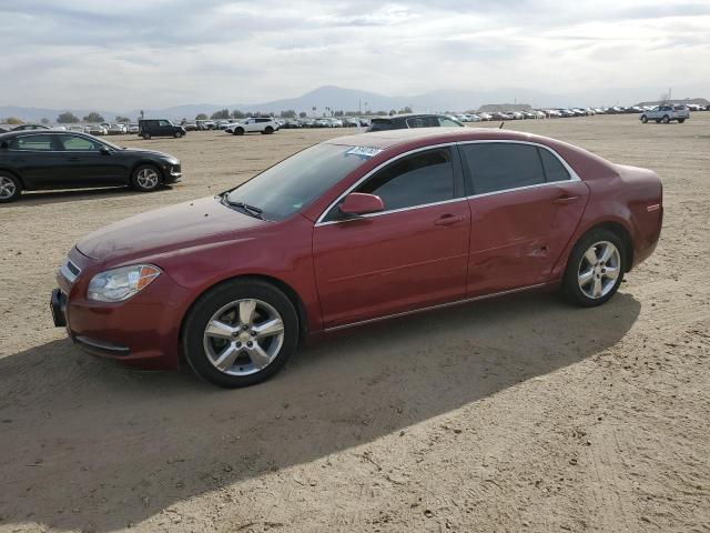 CHEVROLET MALIBU 2011 1g1zc5e12bf342300