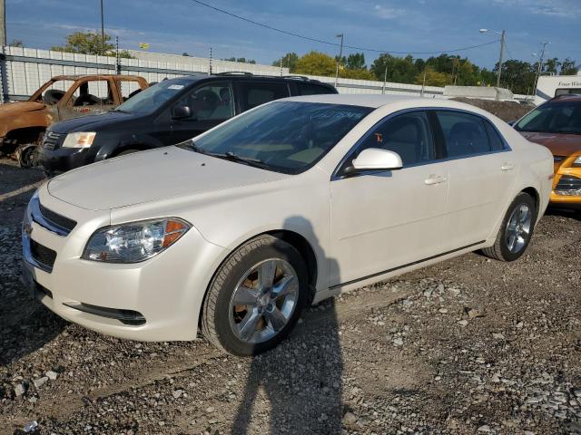 CHEVROLET MALIBU 1LT 2011 1g1zc5e12bf343270