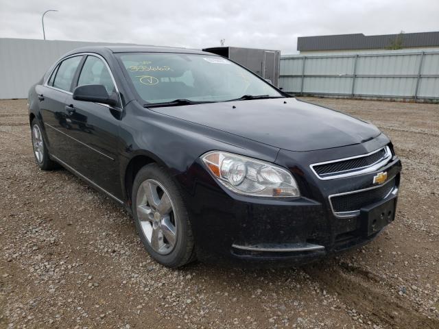 CHEVROLET MALIBU 1LT 2011 1g1zc5e12bf355662