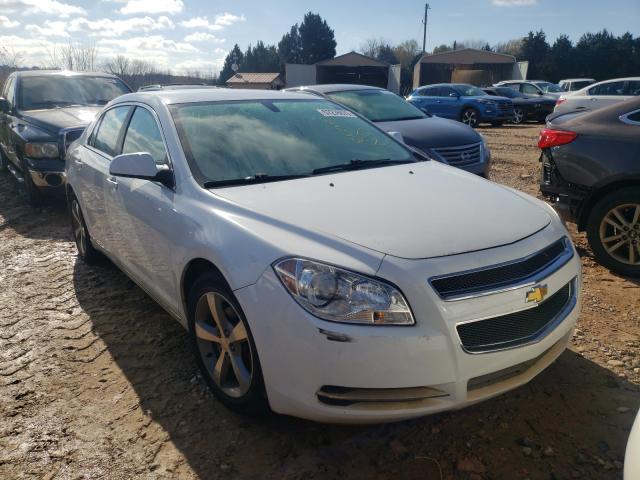 CHEVROLET MALIBU 1LT 2011 1g1zc5e13bf129145