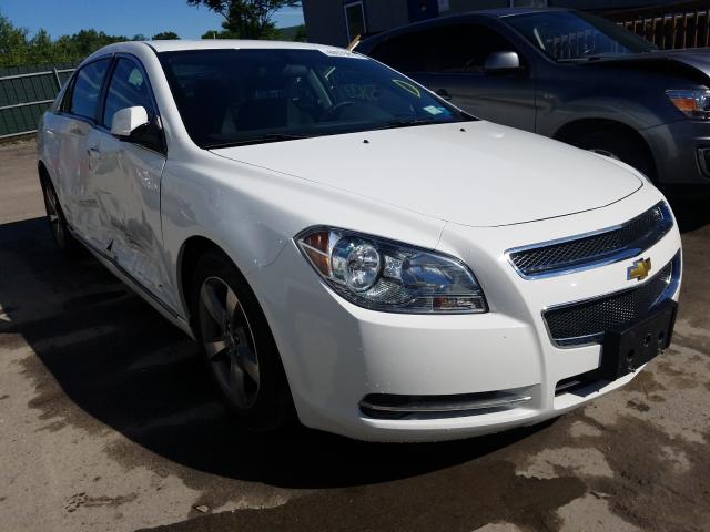 CHEVROLET MALIBU 1LT 2011 1g1zc5e13bf143644