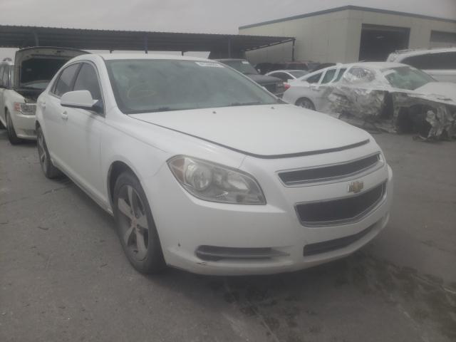 CHEVROLET MALIBU 1LT 2011 1g1zc5e13bf157348