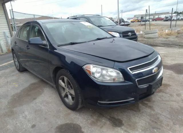 CHEVROLET MALIBU 2011 1g1zc5e13bf167071