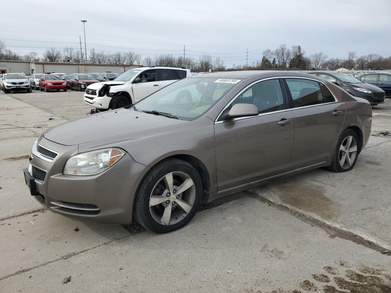 CHEVROLET MALIBU 2011 1g1zc5e13bf170794