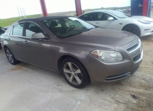 CHEVROLET MALIBU 2011 1g1zc5e13bf177051