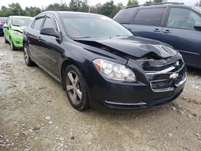 CHEVROLET MALIBU 1LT 2011 1g1zc5e13bf189796