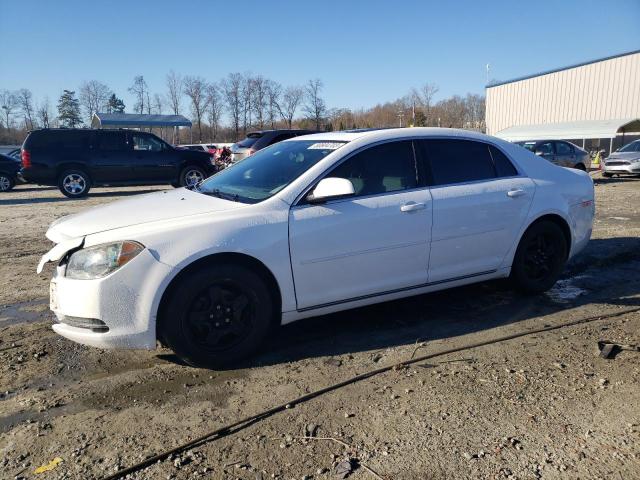 CHEVROLET MALIBU 2011 1g1zc5e13bf266439