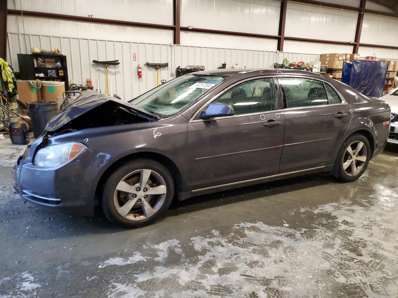 CHEVROLET MALIBU 2011 1g1zc5e13bf269020