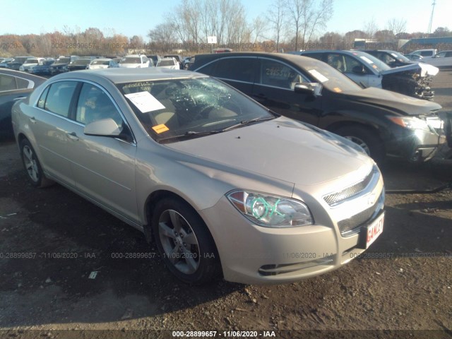 CHEVROLET MALIBU 2011 1g1zc5e13bf275657