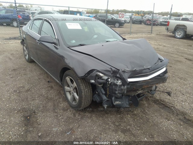 CHEVROLET MALIBU 2011 1g1zc5e13bf292135