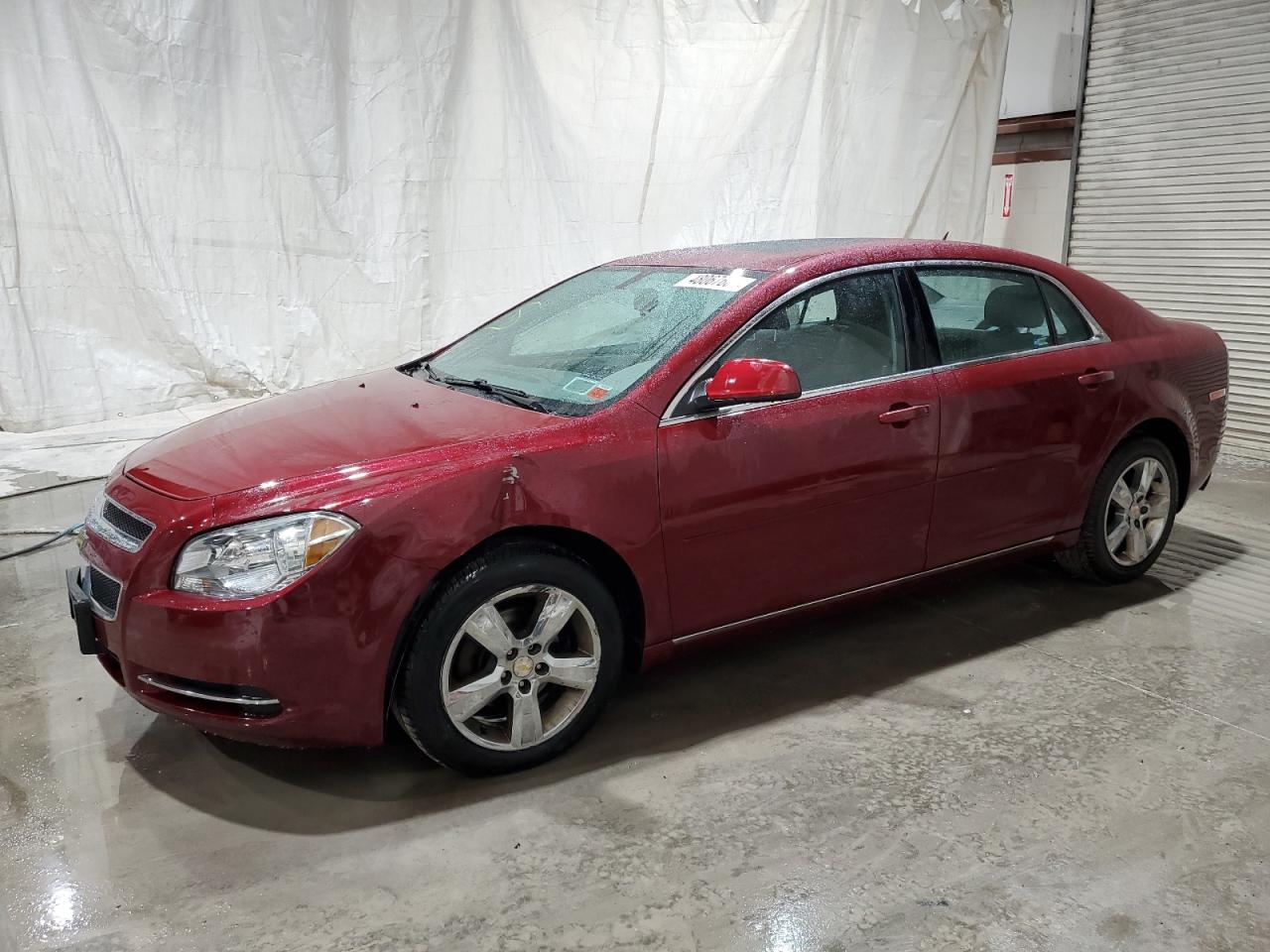 CHEVROLET MALIBU 2011 1g1zc5e13bf296508