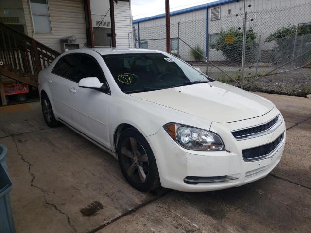 CHEVROLET MALIBU 1LT 2011 1g1zc5e13bf298968