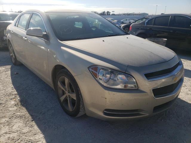 CHEVROLET MALIBU 1LT 2011 1g1zc5e13bf328051